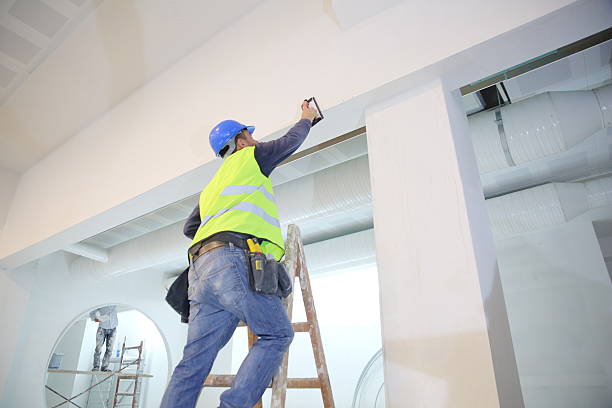 Professional Mold Removal in Vallejo, CA